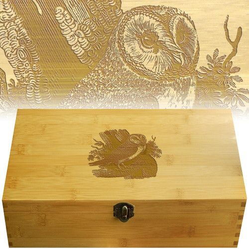 Owl Multikeep Nicknack Box